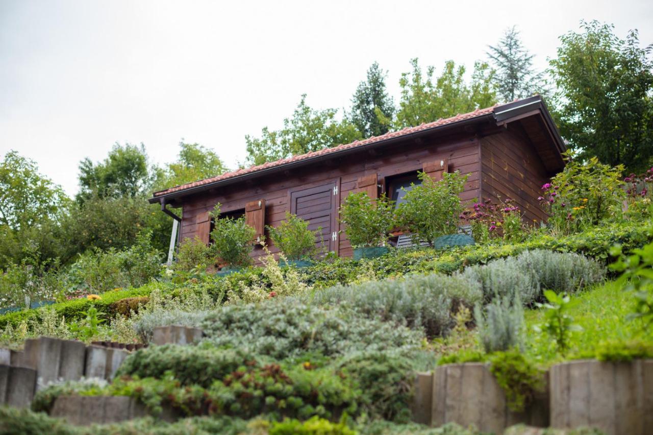 Apartmani Strsoglavec Krapinske Toplice Exterior photo